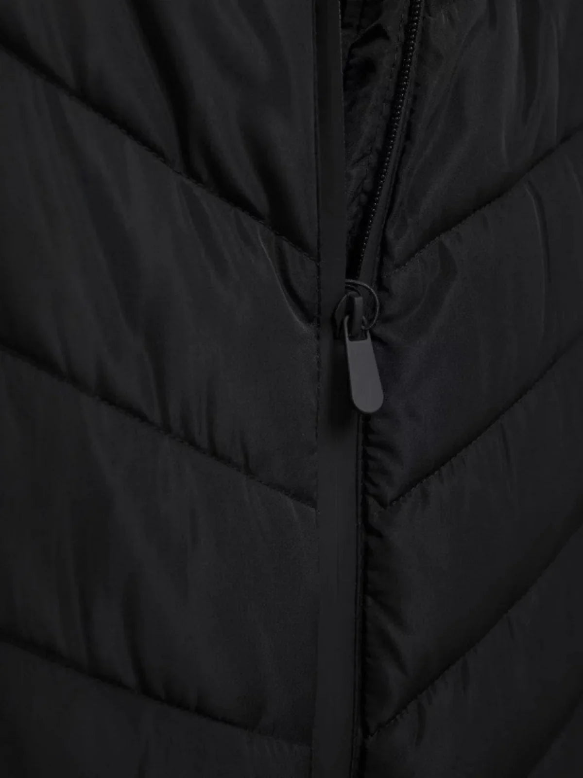 Cotton Padded Coat With Stand Up Collar For Casual Wear - LA FEMME WANDERER