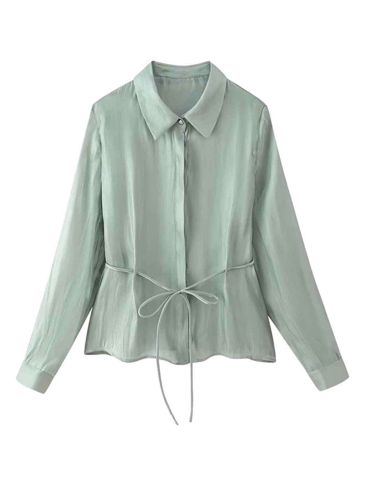 Lapel Collar Semi Sheer Blouse