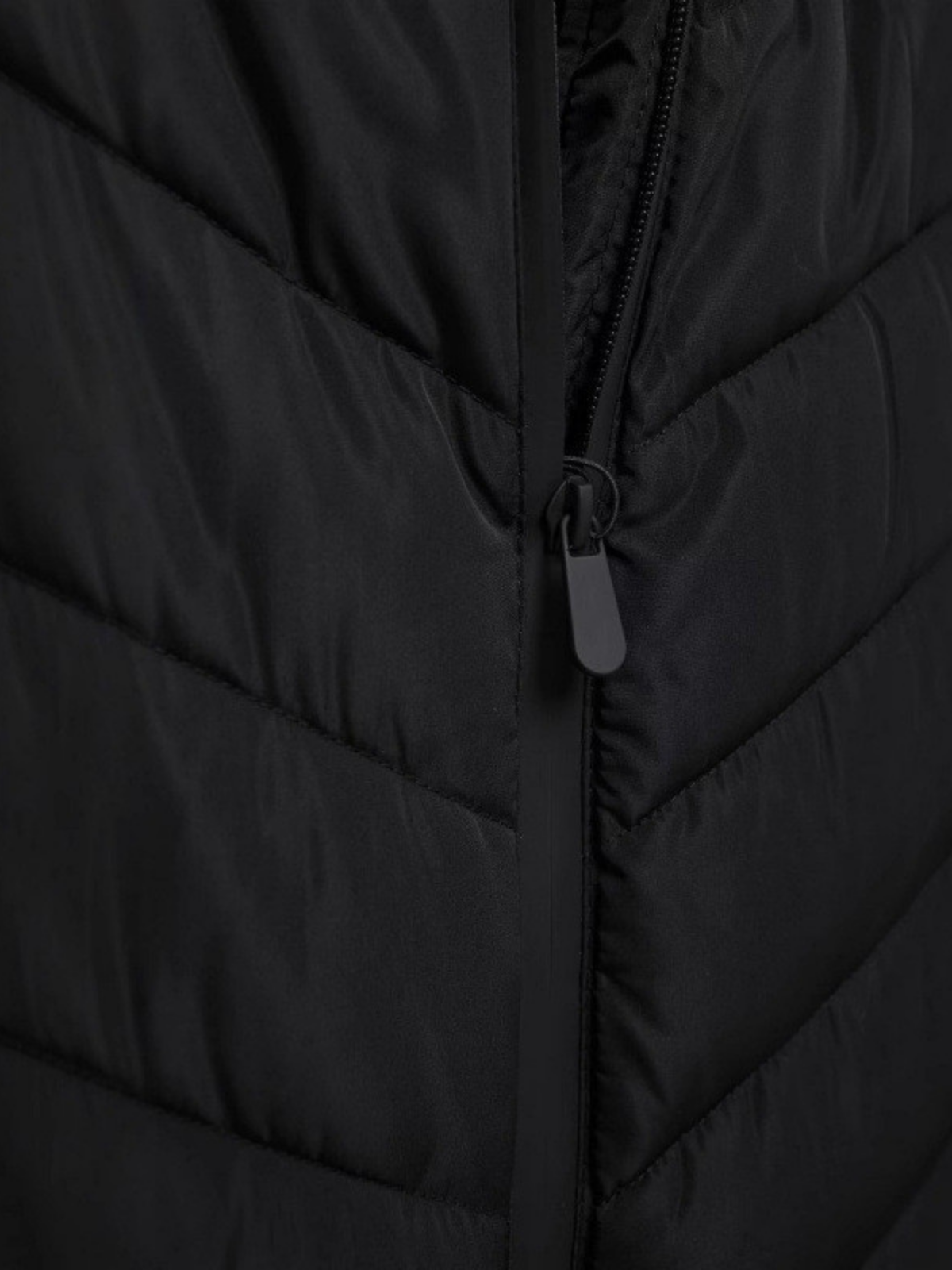 Abrigo acolchado de algodón con cuello alto para uso informal